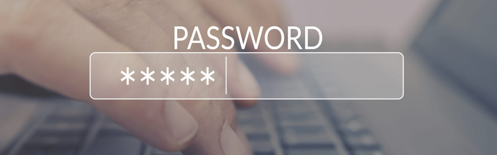 Password,Box,In,Internet,Browser